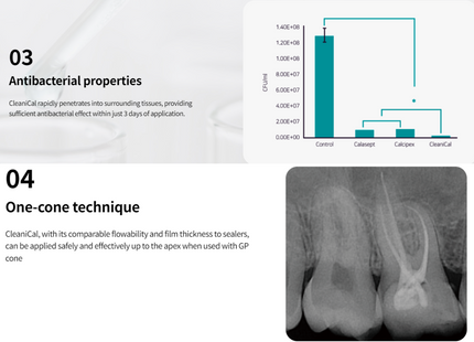 CleaniCal, 2g Syringe