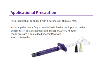 EndoCem Root Repair MTA Premix in a syringe, 2g