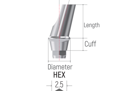 dental implant hex 15° and 25° angled abutment