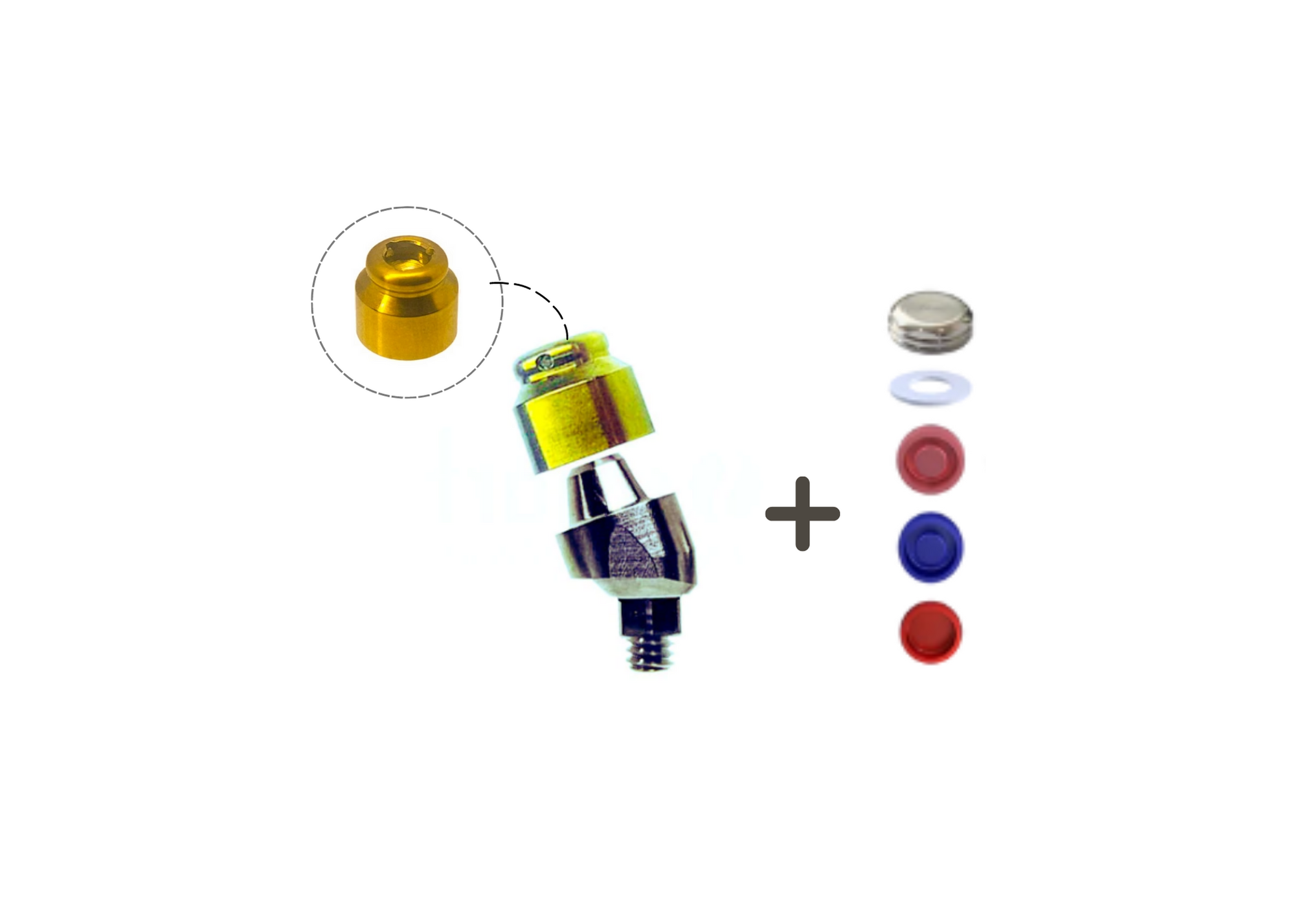 A: Ortho implant associated with o'ring attachment. In models of group... |  Download Scientific Diagram